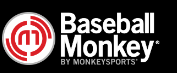 Baseball Monkey